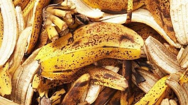 Необычное удобрение: делаем подкормку из банановой кожуры