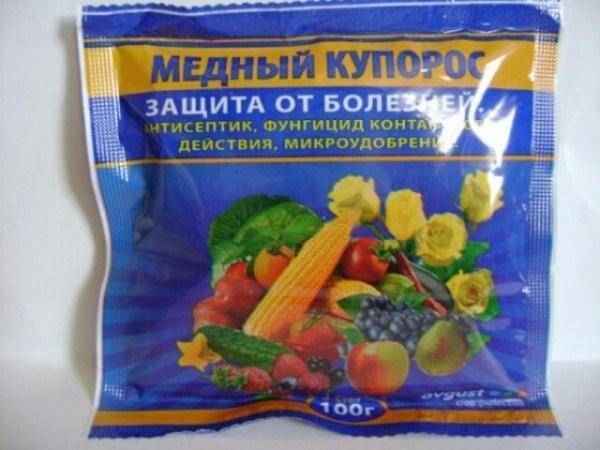 Как обработать малину от болезней и вредителей: способы и средства