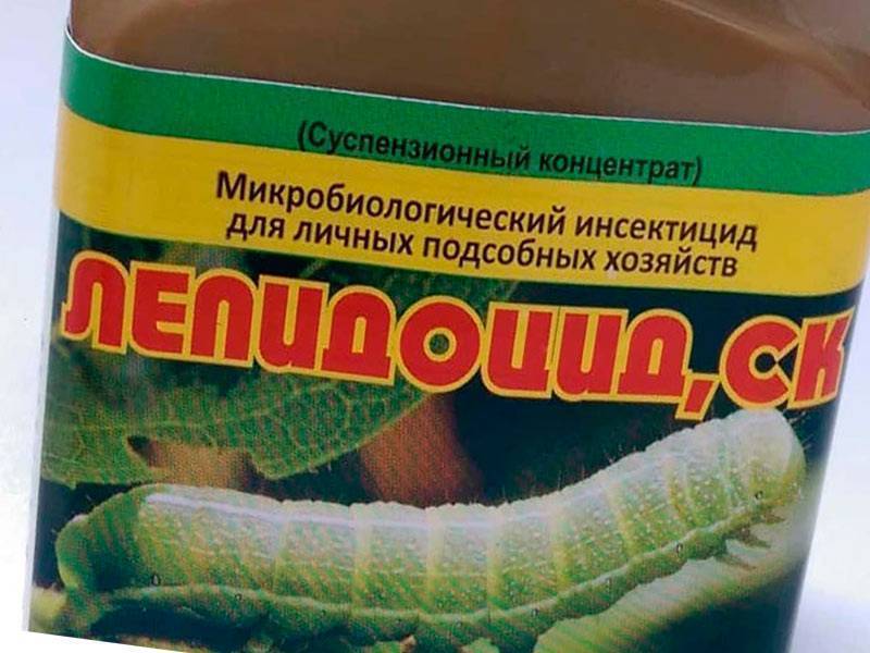 Лепидоцид