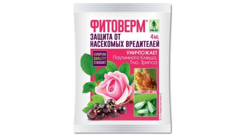 Мучнистый червец: как бороться, средства и препараты