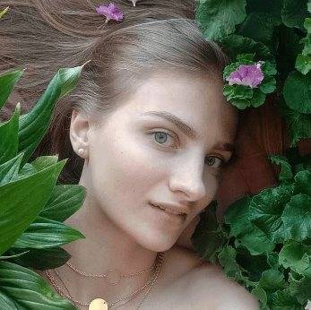 Дихондра: посадка и уход, фото и описание, особенности выращивания