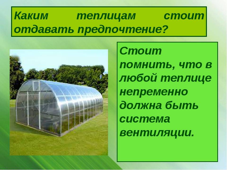 12 лучших теплиц из поликарбоната для дачи