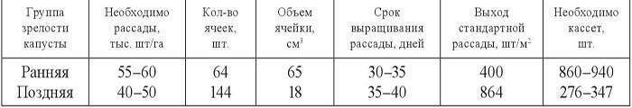 Выращивание белокочанной капусты в открытом грунте: выбор сорта, технология ухода, сбор урожая