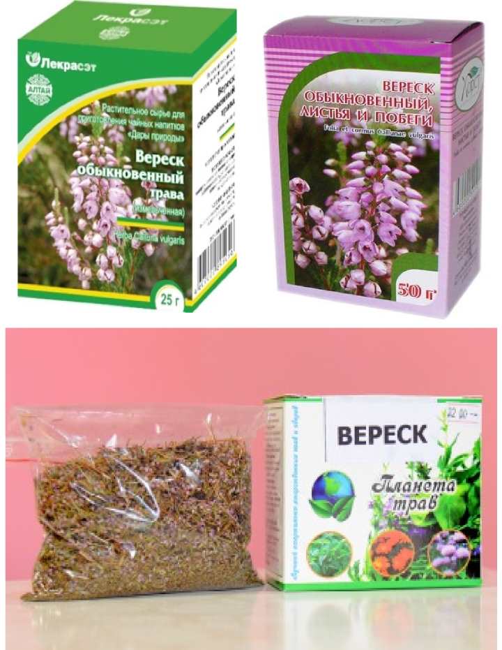 Вереск: фото, описание, посадка и уход в открытом грунте