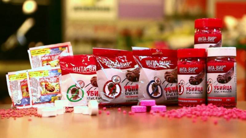 5 самых опасных капустных вредителей
