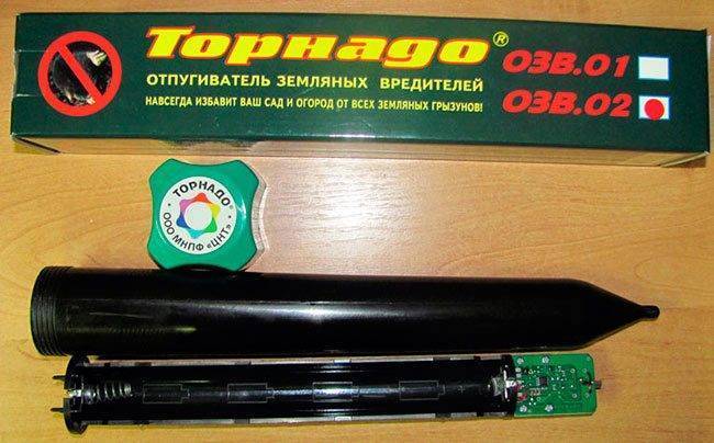 Кроты: чем опасны и как от них избавиться
