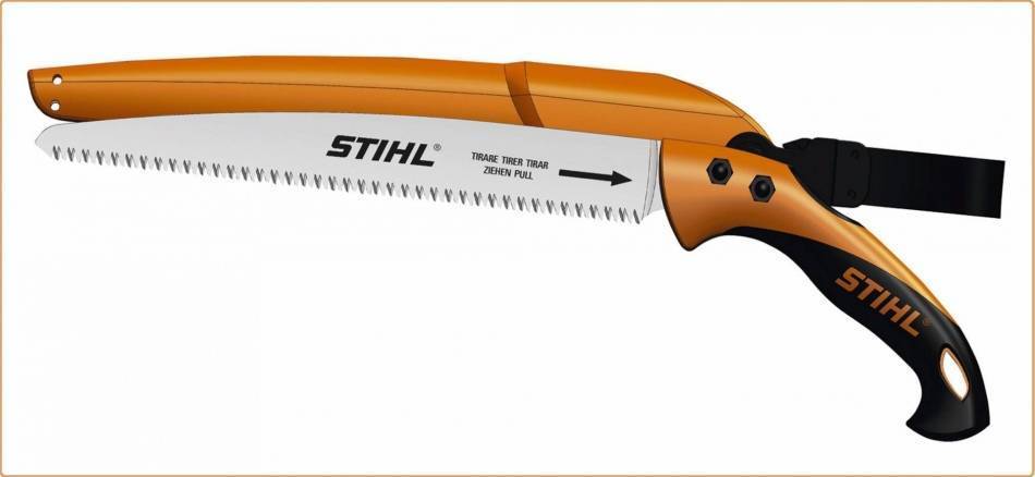 Что нужно знать о весенней обрезке яблонь