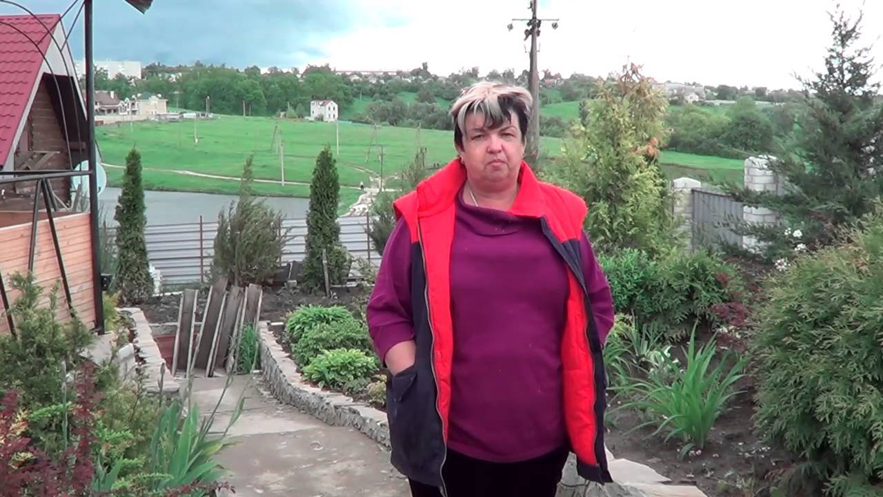 Помидоры: выращивание из семян на огороде