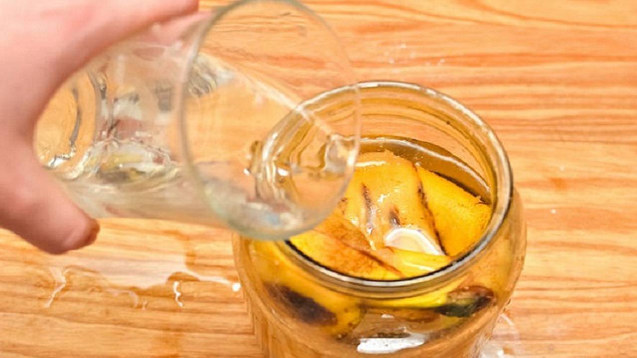 Банановая кожура как удобрение для комнатных растений