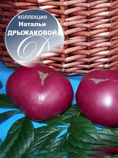 Сорта черных томатов для теплиц и открытого грунта