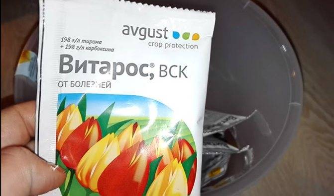 Фунгициды для растений: обзор препаратов, применение, эффективность, отзывы