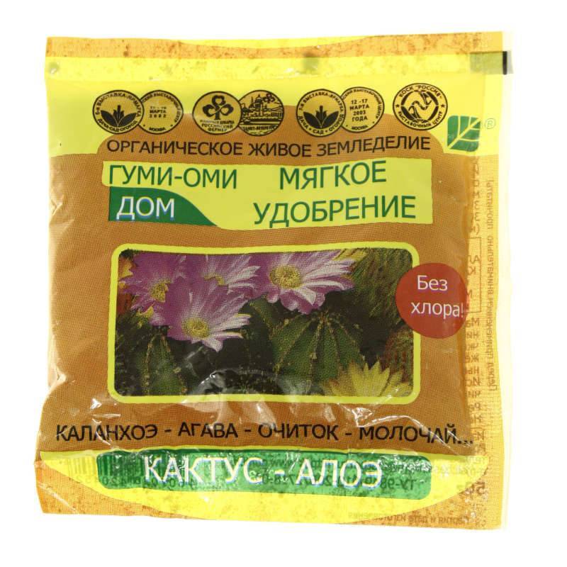 Алоэ остистое: красавец-суккулент и 2 способа размножения