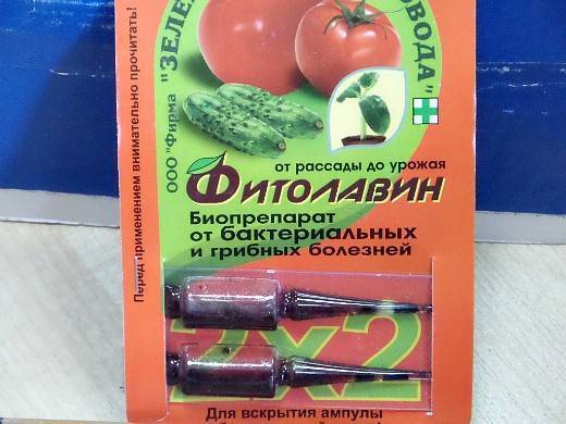 Повышаем иммунитет дачных растений новыми методами