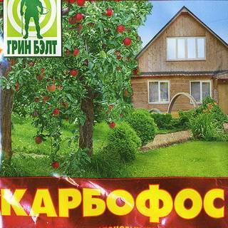 Гортензия в горшке: описание с фото, размножение, пересадка, особенности ухода, советы и рекомендации