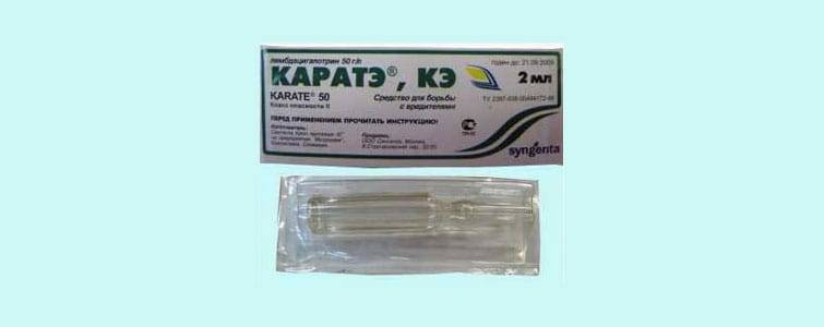 Каратэ Зеон