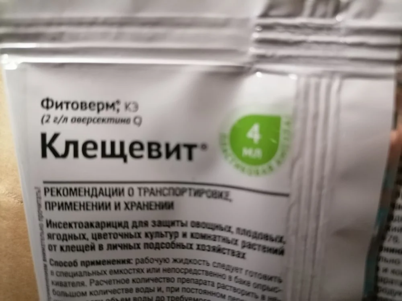 Вредитель белокрылка – борьба и профилактика, виды, препараты