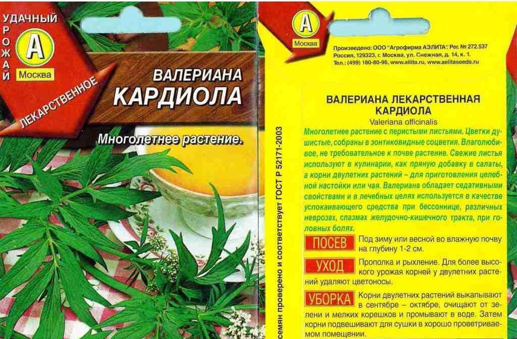 Валериана: выращивание, свойства, сбор