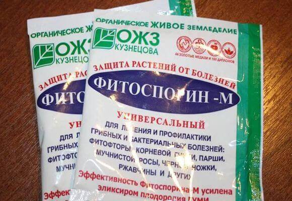 Фунгициды для растений: обзор препаратов, применение, эффективность, отзывы