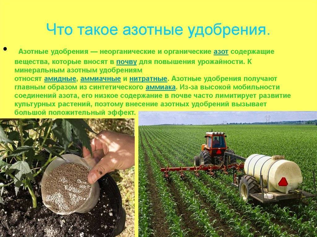 Внесение удобрений в почву презентация