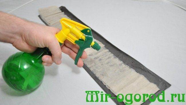 Два компактных способа выращивания рассады без земли