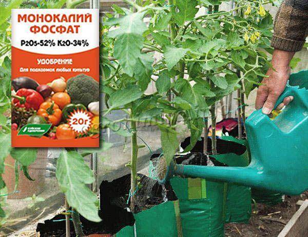 Монофосфат калия: описание удобрения, состав, применение, отзывы