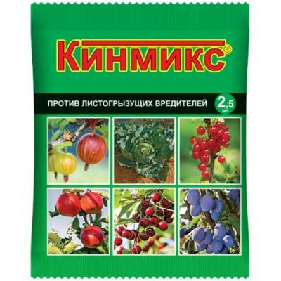 Вредители трипсы: фото и борьба с ними