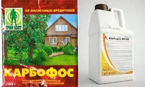 Инсектициды