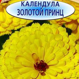 Календула: как выглядит, где растет, описание