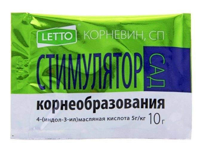 Омоложение старой фиалки с гидрогелем