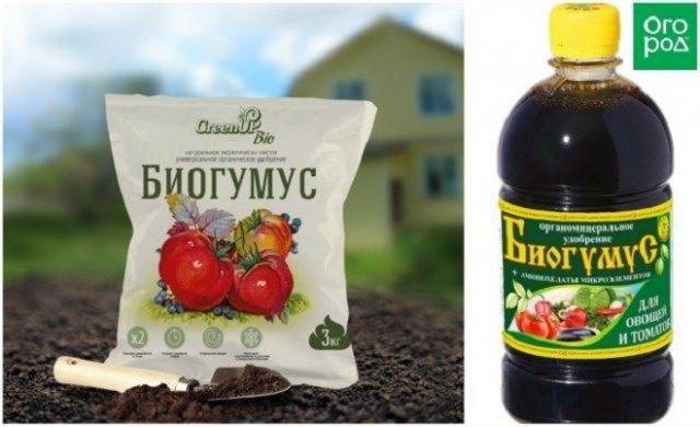 Биогумус – что это, когда нужен и как помогает бороться с вредителями