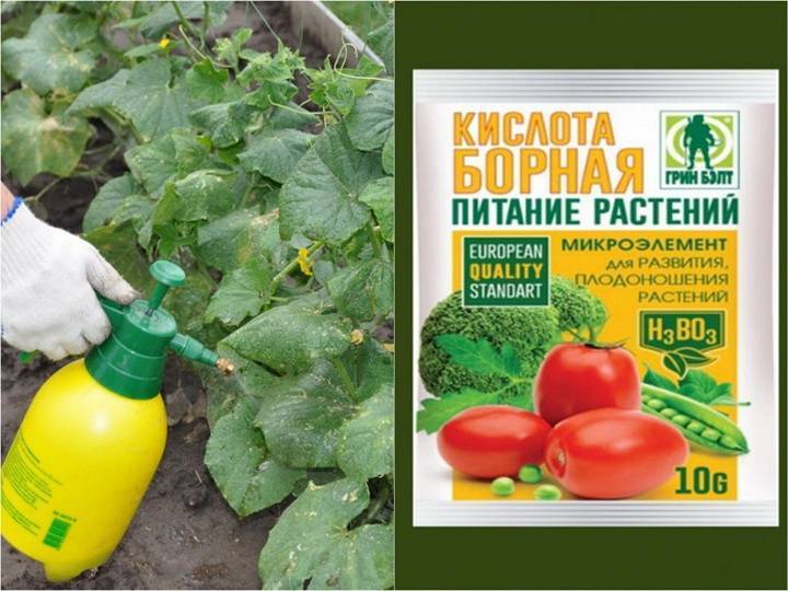 Борная кислота как удобрение для растений