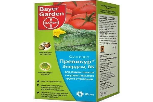 Превикур энерджи отзывы