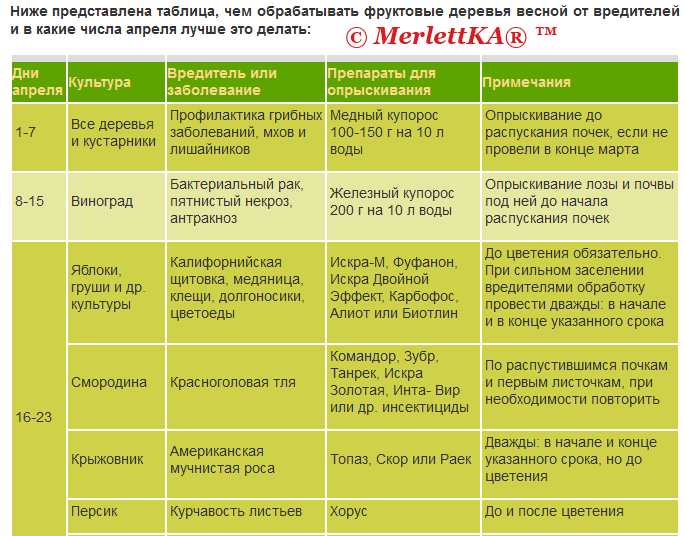 Обработка малины весной в 2021 году от болезней и вредителей: чем и когда обрабатывать