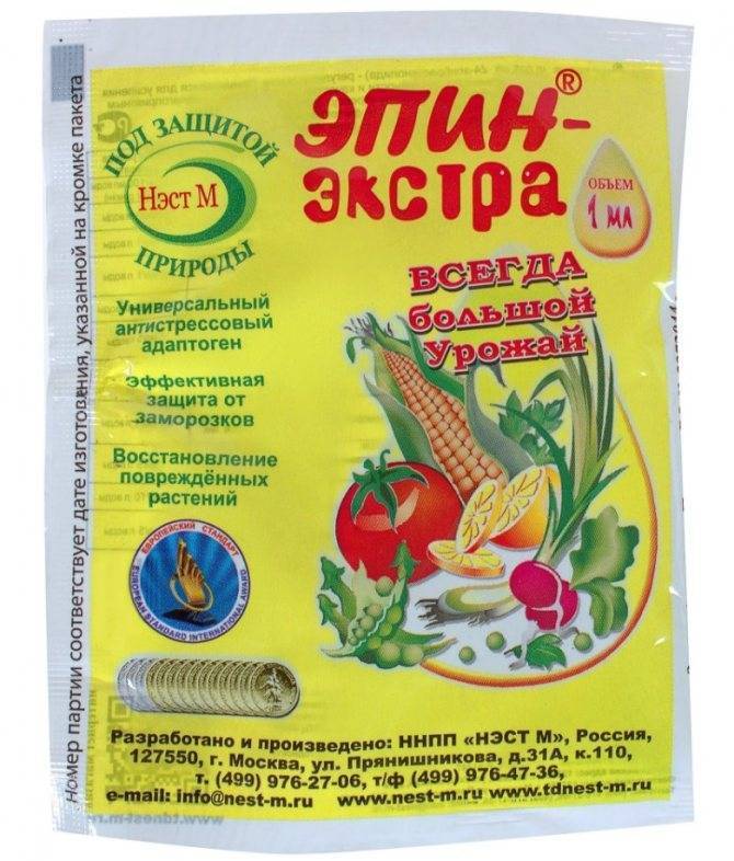 Рассада томатов на фитильном поливе – подсыпаем грунт