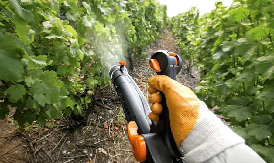 Фунгициды для растений: обзор препаратов, применение, эффективность, отзывы