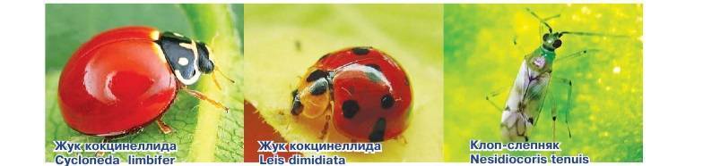 Средства защиты растений