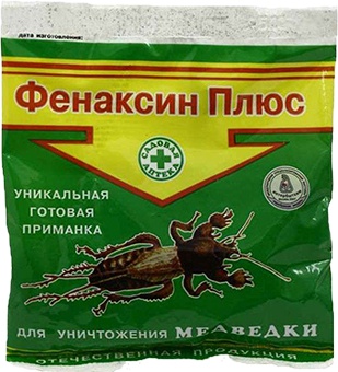 Медведка в огороде: как бороться, чем обработать, как избавиться навсегда