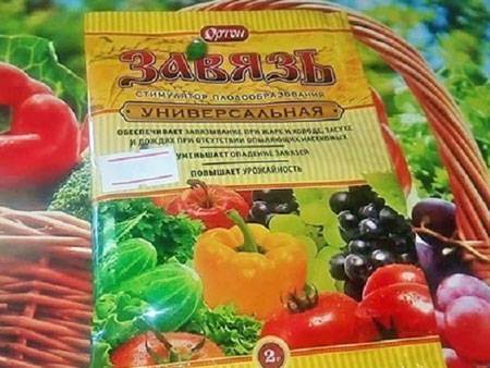 Помидоры черри на дачном участке