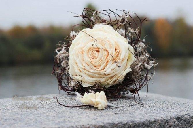 Гладиолус в ландшафтном дизайне