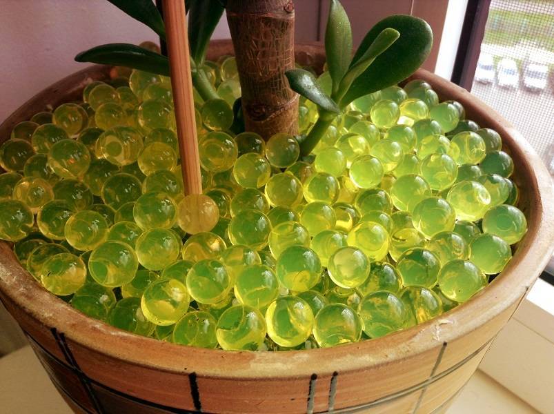 9 вариантов автополива для комнатных растений