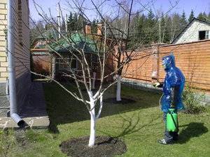 Обработка деревьев от вредителей и болезней