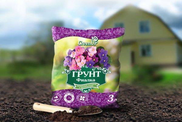 Омоложение старой фиалки с гидрогелем