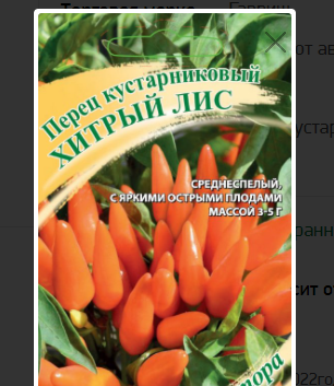 Горький перец чили: выращивание из семян на огороде