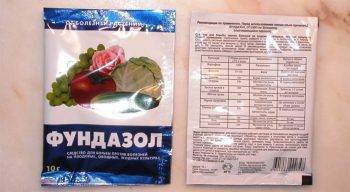 Повышаем иммунитет дачных растений новыми методами