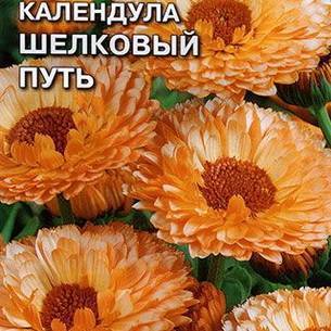 Календула: как выглядит, где растет, описание