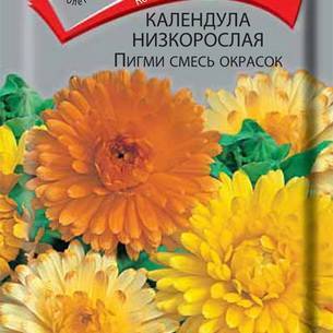 Календула: как выглядит, где растет, описание