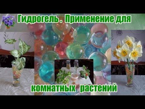 Гель для цветов для земли. Гидрогель для цветов аквагрунт: инструкция по применению, отзывы