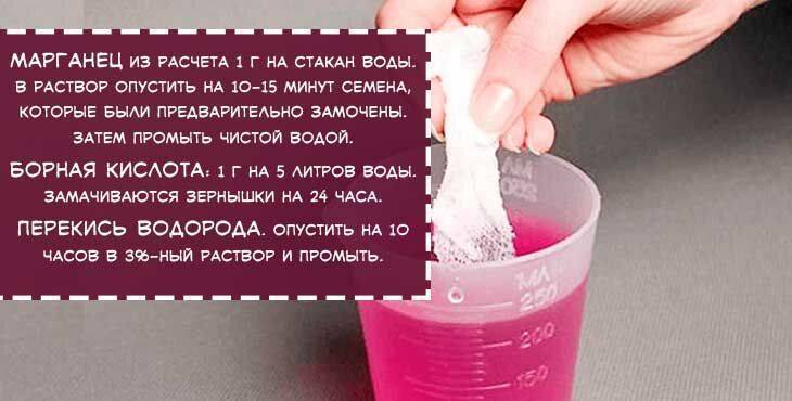 Удобный способ посева моркови на смешанную грядку