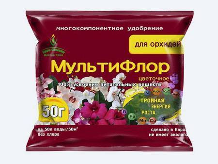 Как вырастить ананас из верхушки в домашних условиях: пошаговая инструкция