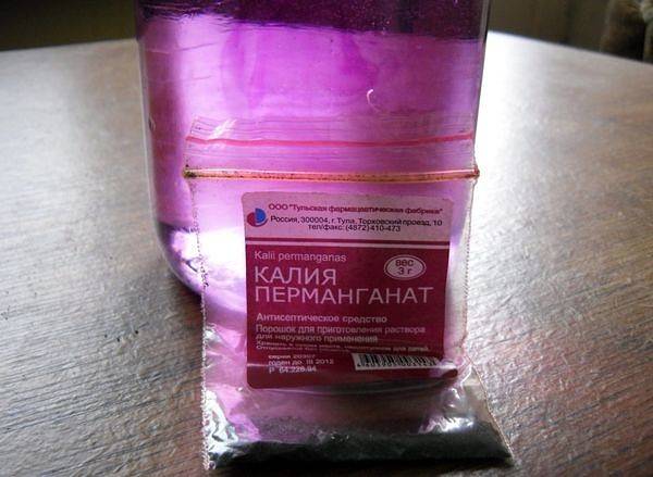 В каких условиях и как растет арахис? Выращивание арахиса на приусадебном участке